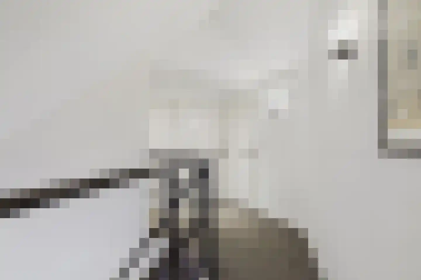 Zuidsingel 1 a Axel thumbnail 33