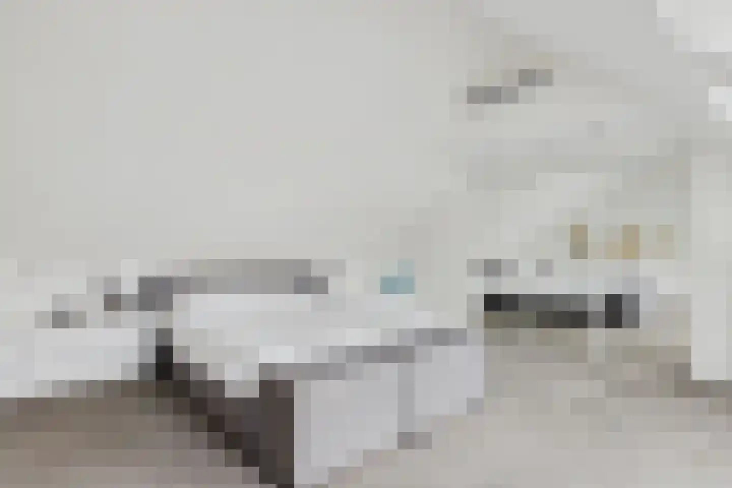 Zuidsingel 1 a Axel thumbnail 35