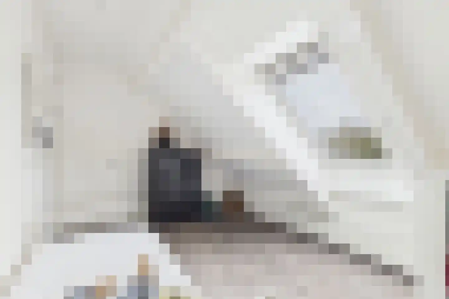 Zuidsingel 1 a Axel thumbnail 41