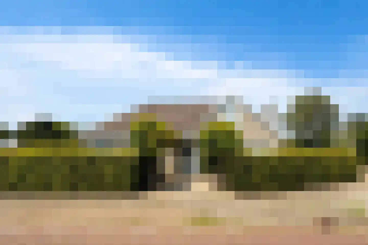 Zuidsingel 1 a Axel thumbnail 6