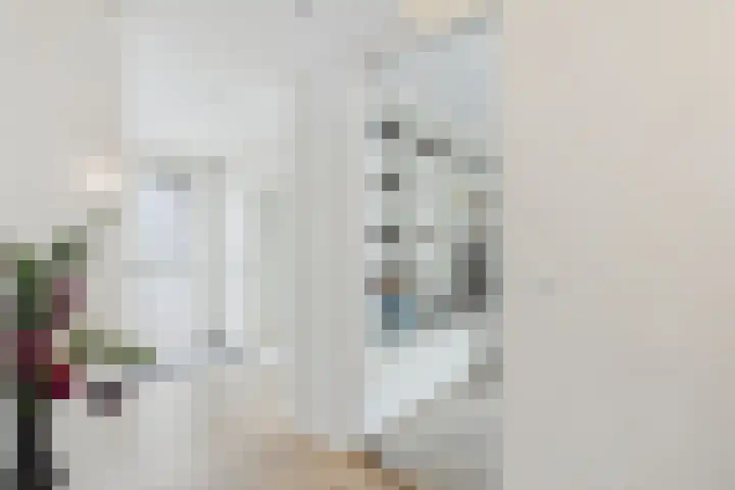 Zuidsingel 1 a Axel thumbnail 9