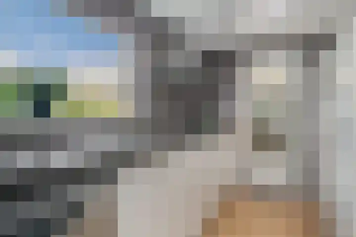 Zuidsingel 113 Kortenhoef thumbnail 13