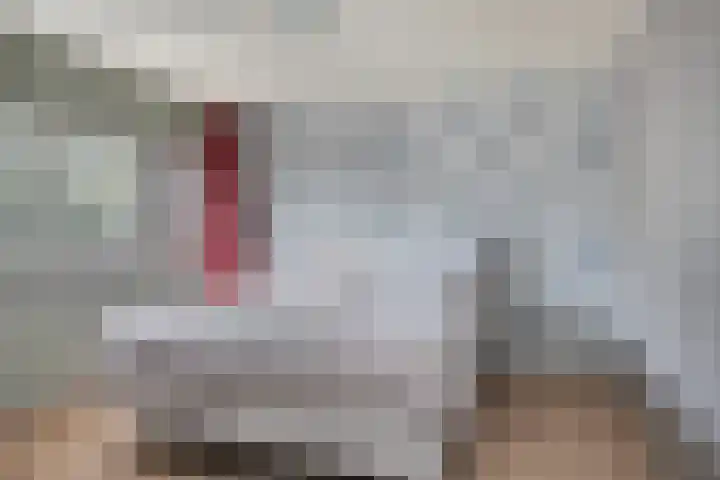 Zuidsingel 113 Kortenhoef thumbnail 15