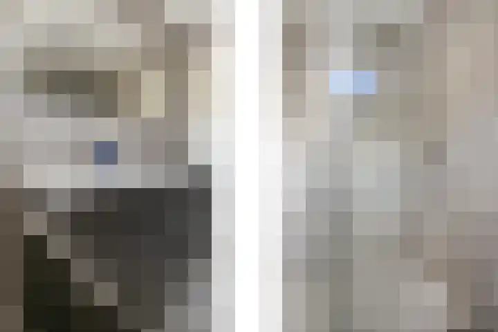 Zuidsingel 113 Kortenhoef thumbnail 23