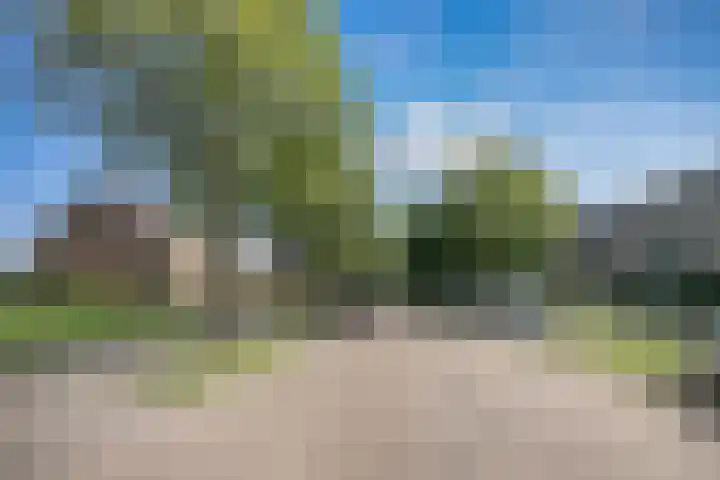 Zuidsingel 113 Kortenhoef thumbnail 39