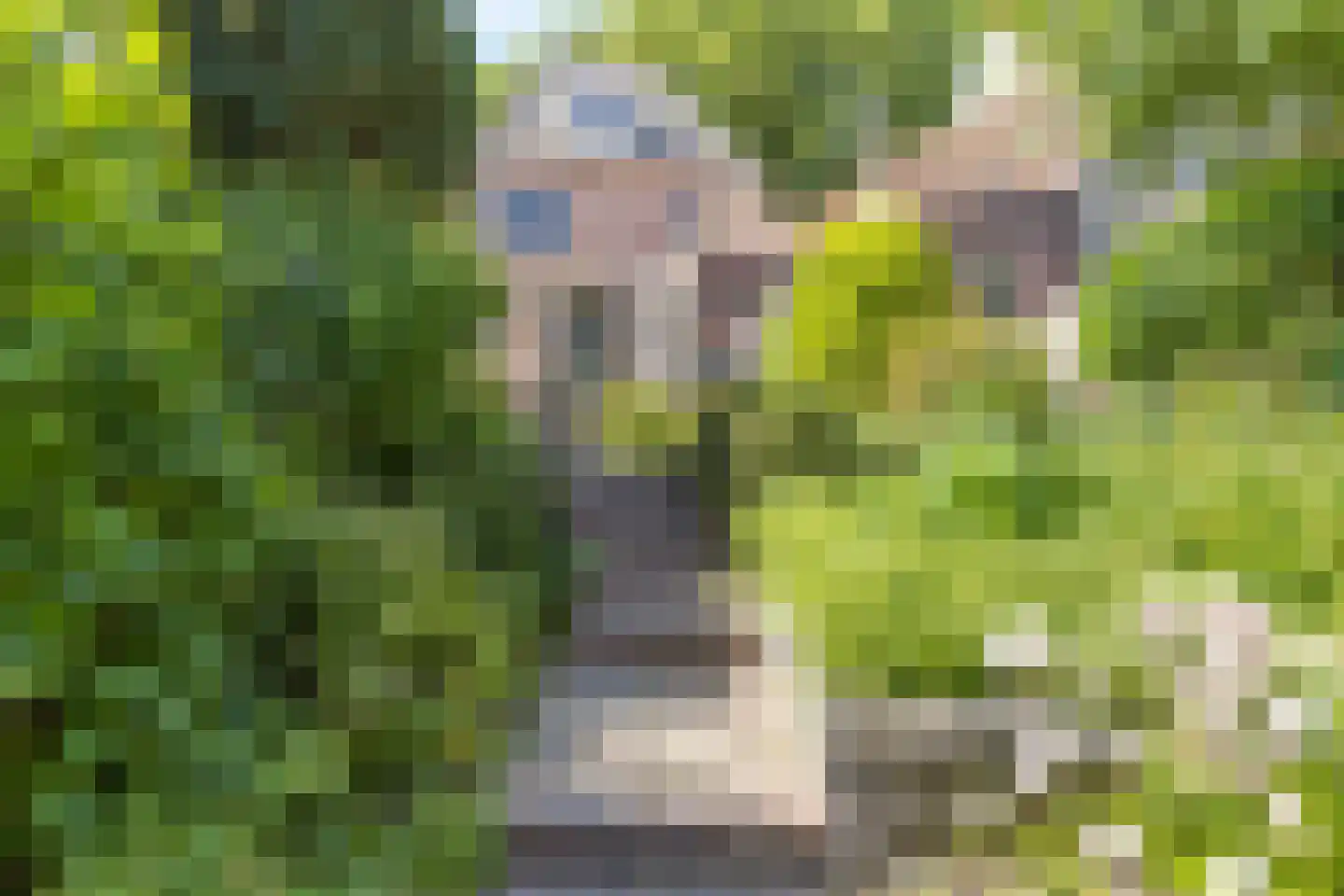 Zuidsingel 116 Middelburg thumbnail 45