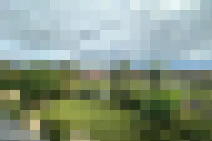 Zuidsingel 14 Hazerswoude-Dorp thumbnail 36