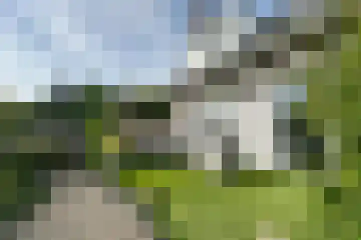Zuidsingel 14 Hazerswoude-Dorp thumbnail 39