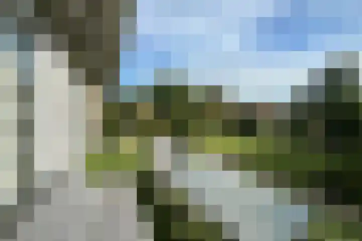 Zuidsingel 14 Hazerswoude-Dorp thumbnail 40