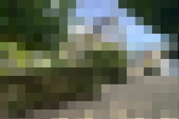 Zuidsingel 14 Hazerswoude-Dorp thumbnail 42