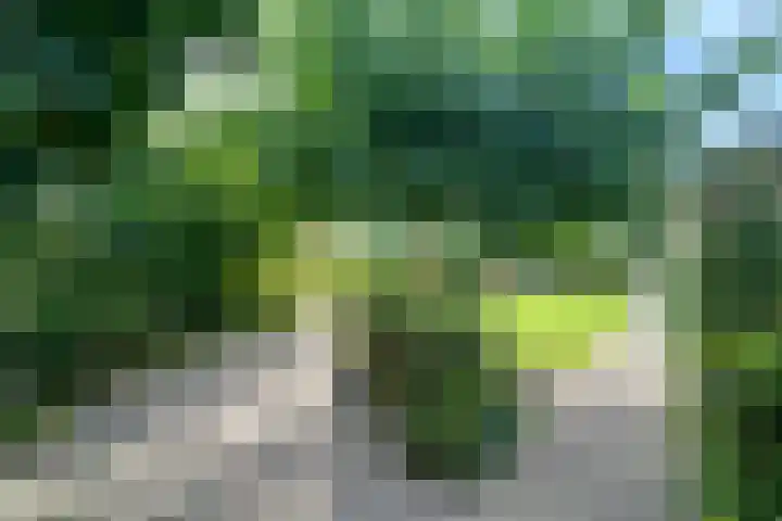 Zuidsingel 14 Hazerswoude-Dorp thumbnail 44