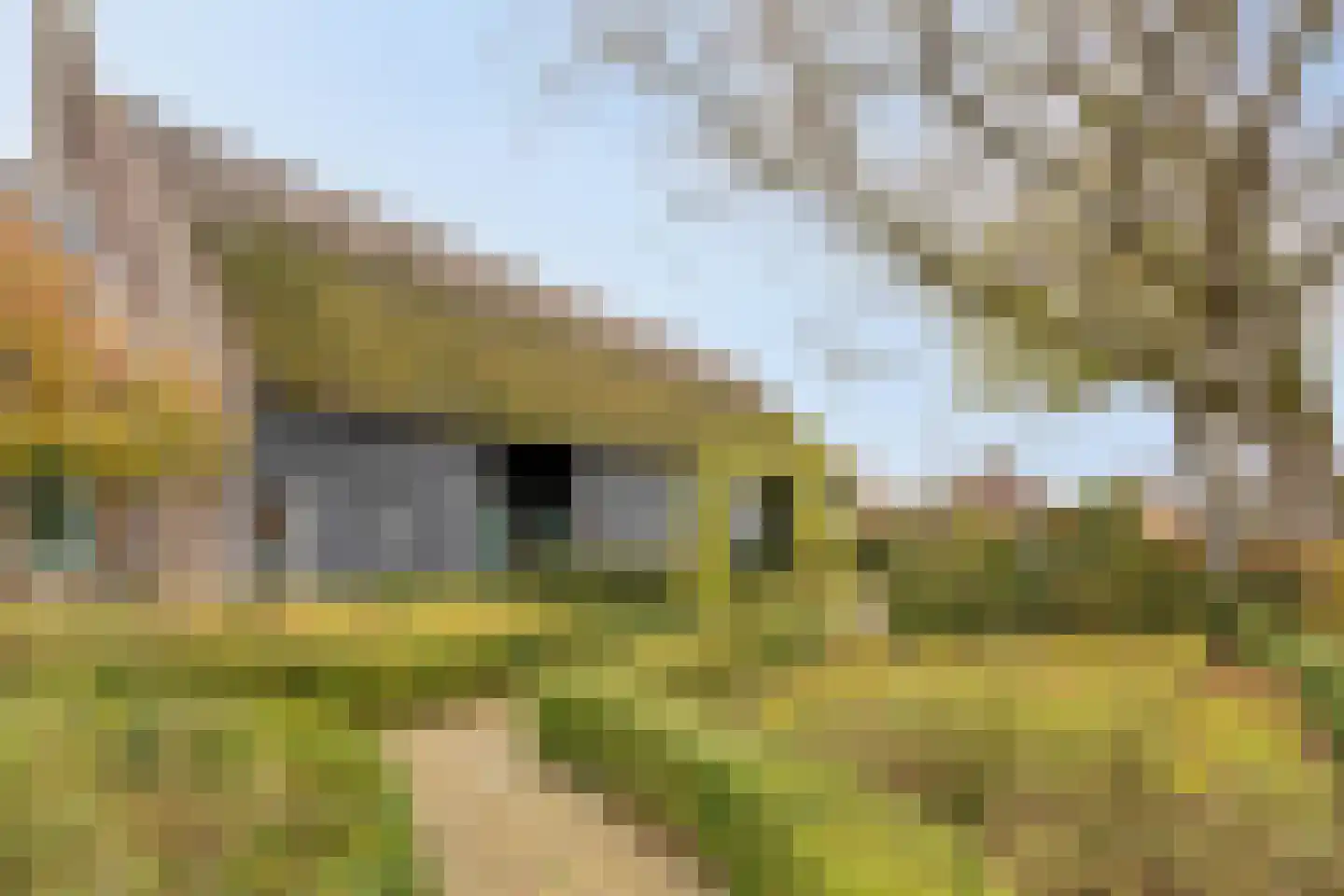 Zuidsingel 16 Borssele thumbnail 4