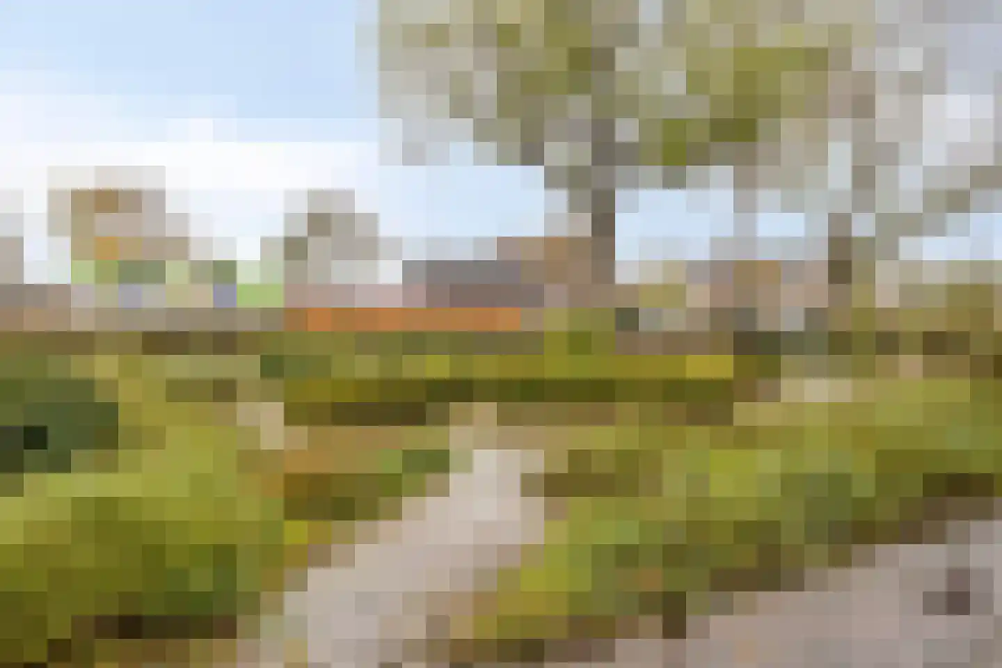 Zuidsingel 16 Borssele thumbnail 89
