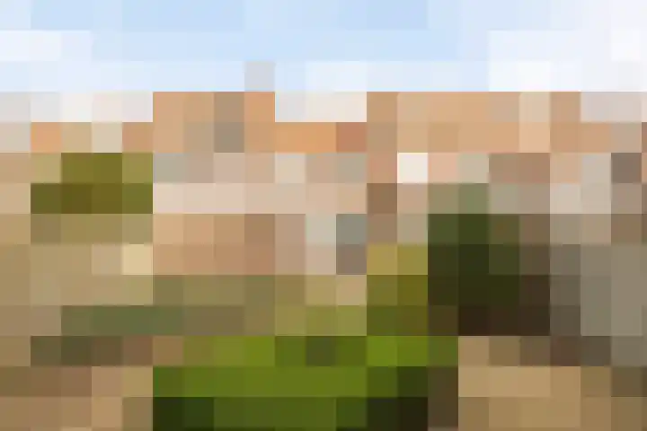 Zuidsingel 17 Bergen op Zoom thumbnail 54