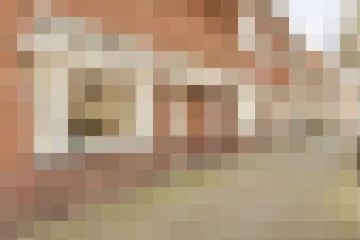Zuidsingel 17 Bergen op Zoom thumbnail 6