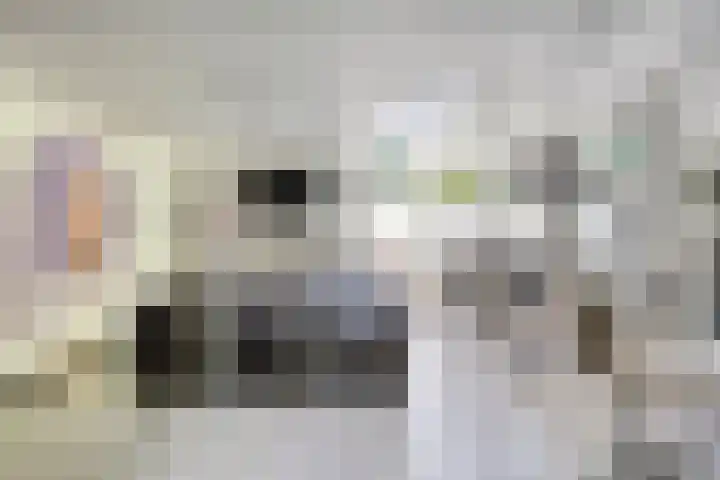Zuidsingel 2 Bergen op Zoom thumbnail 6