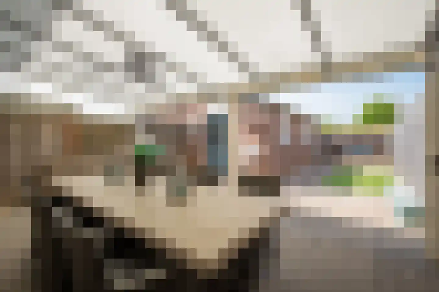 Zuidsingel 20 b Maasbracht thumbnail 15