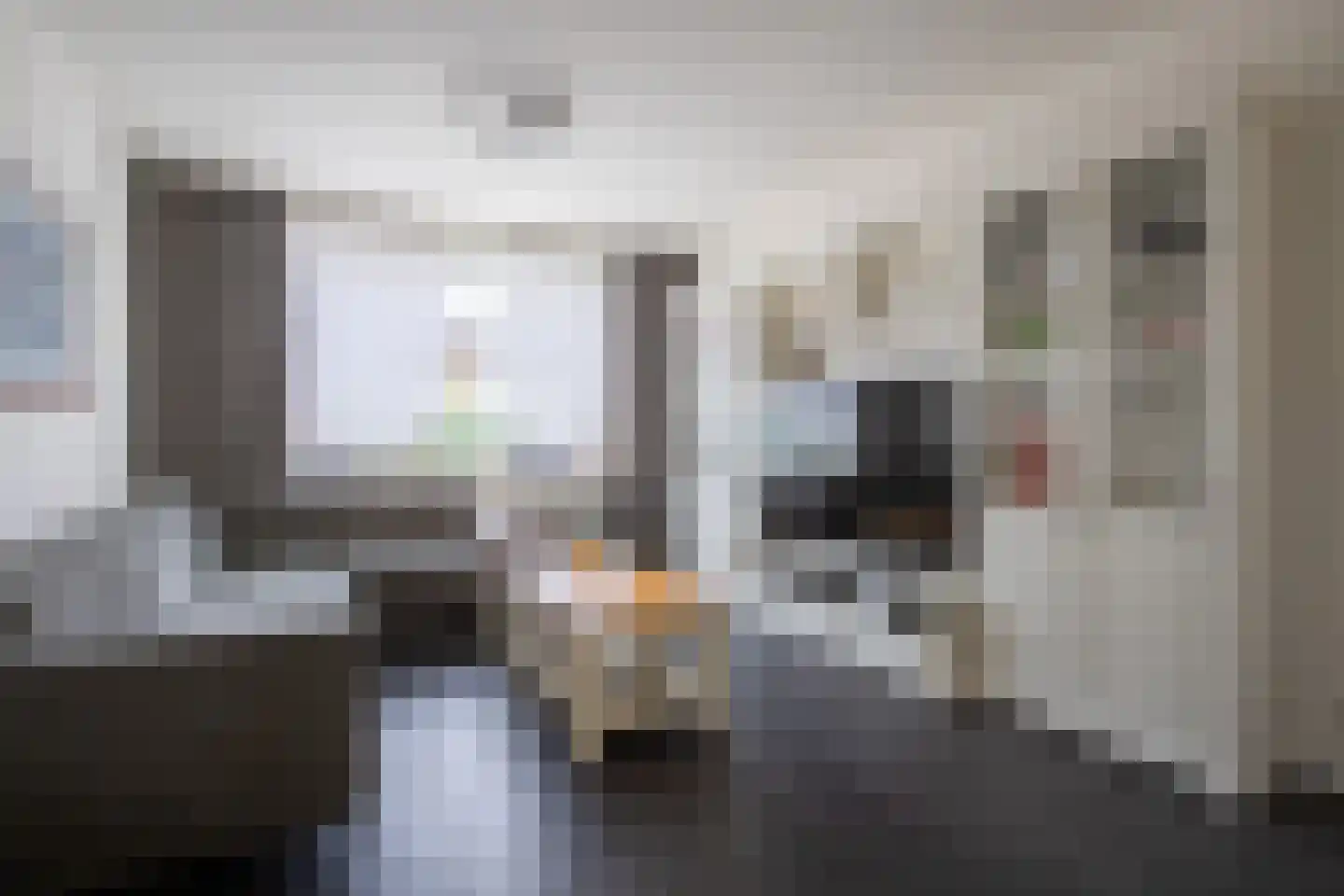 Zuidsingel 20 b Maasbracht thumbnail 4