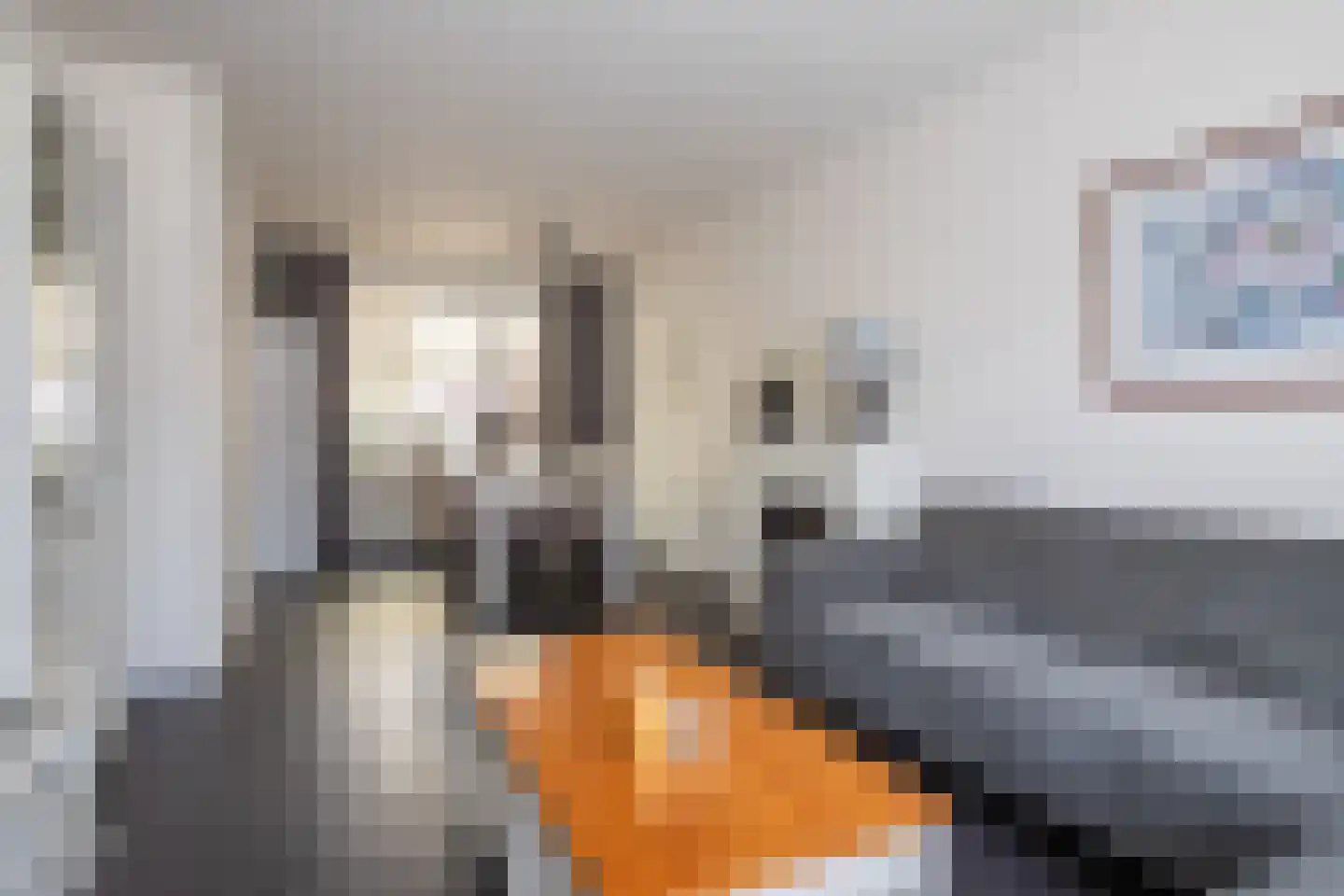 Zuidsingel 20 b Maasbracht thumbnail 5