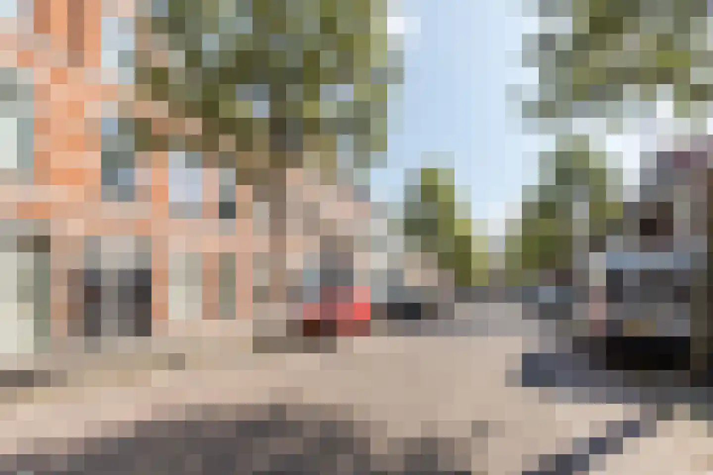 Zuidsingel 22 a Bergen op Zoom thumbnail 39