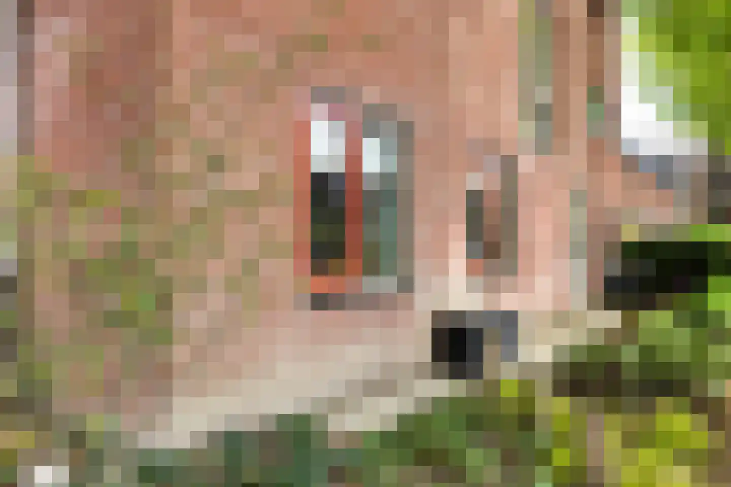 Zuidsingel 23 Middelburg thumbnail 22