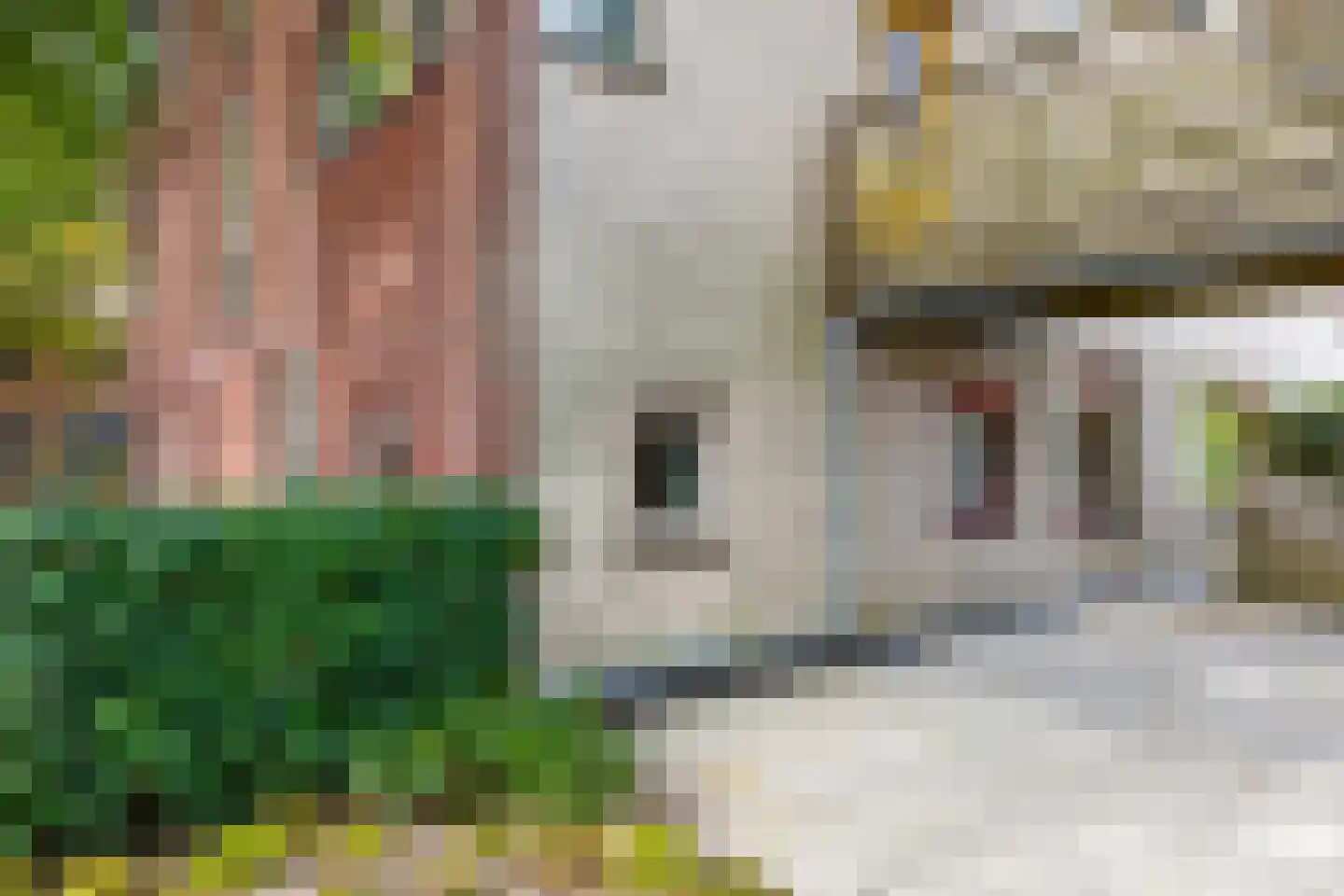 Zuidsingel 23 Middelburg thumbnail 24