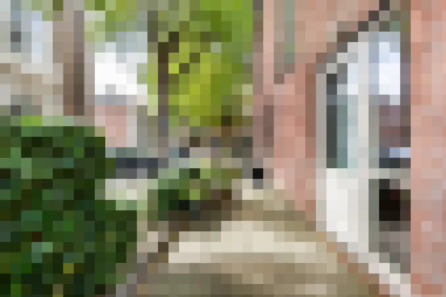 Zuidsingel 23 Middelburg thumbnail 25