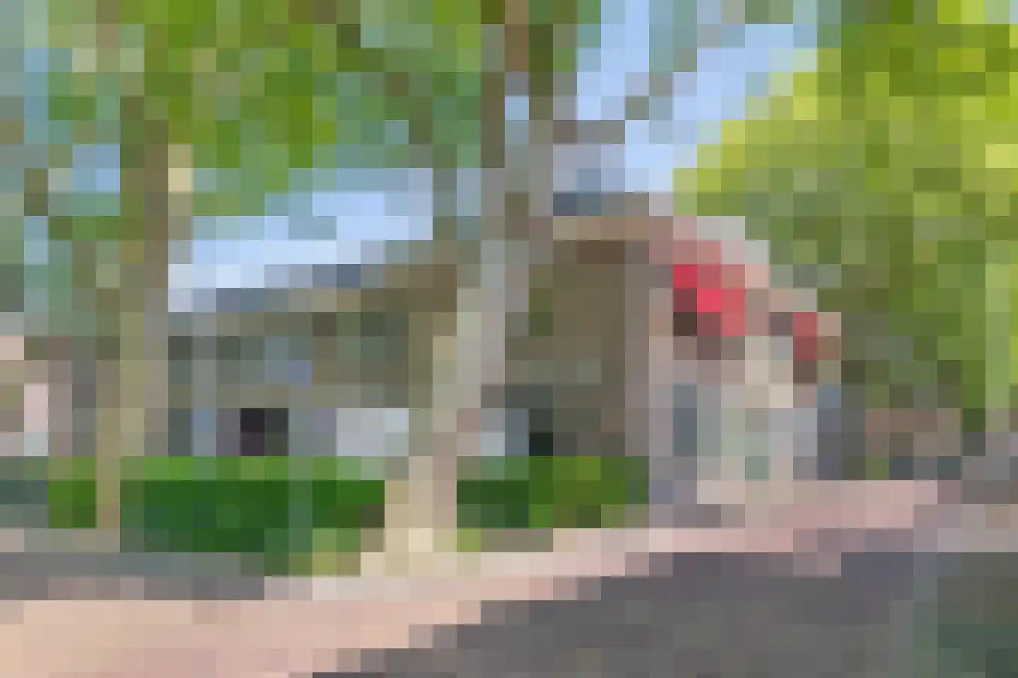 Zuidsingel 32 Middelburg thumbnail 24