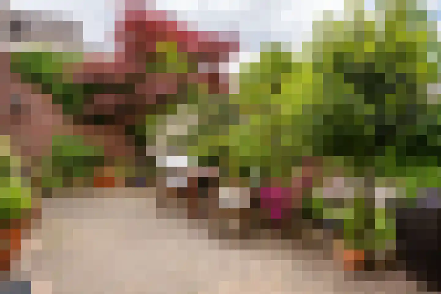 Zuidsingel 33 Bergen op Zoom thumbnail 35