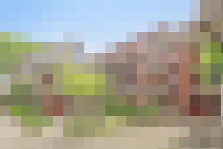 Zuidsingel 33 Middelburg foto 2