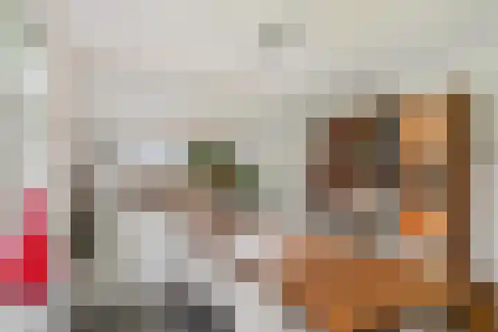Zuidsingel 44 Axel thumbnail 13