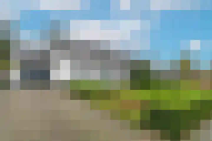 Zuidsingel 44 Axel thumbnail 6