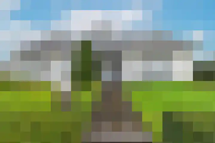 Zuidsingel 44 Axel thumbnail 7