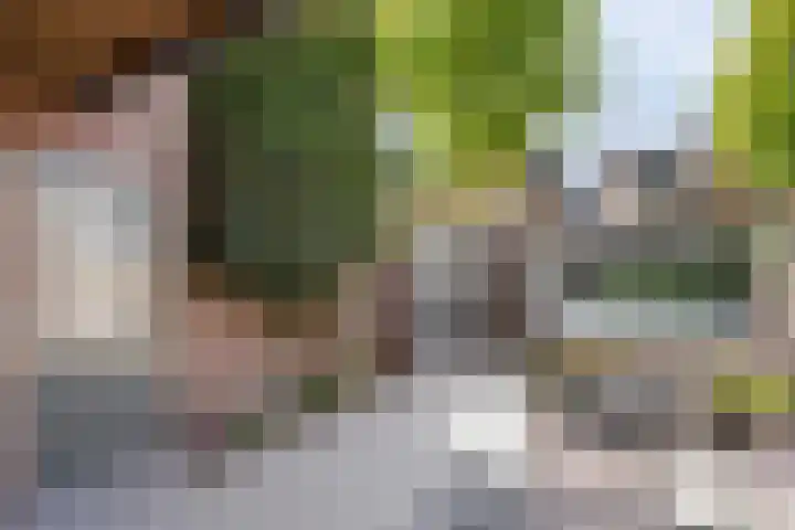 Zuidsingel 44 Axel thumbnail 8