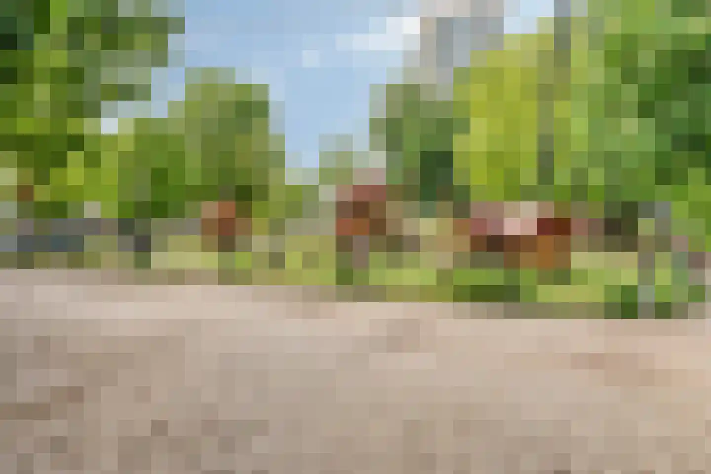 Zuidsingel 46 A Leiden thumbnail 24