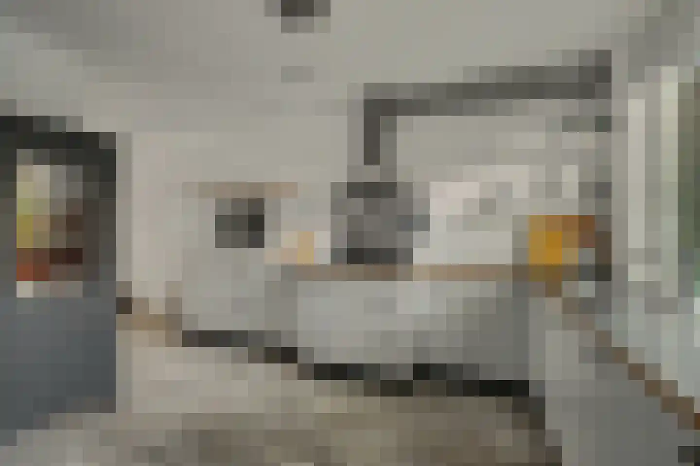 Zuidsingel 51 Middelburg thumbnail 14