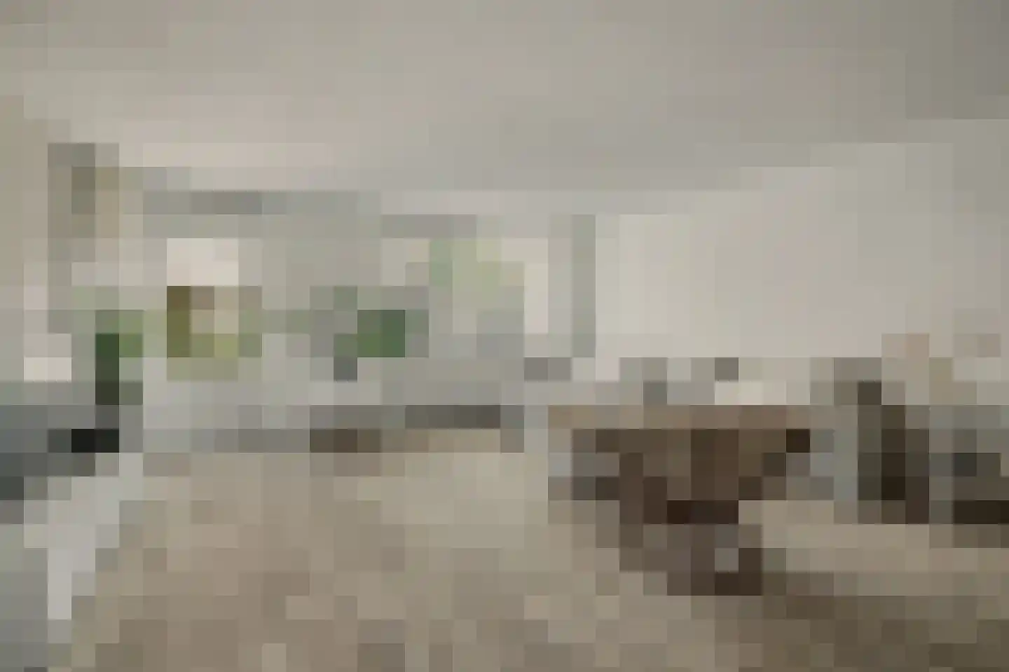 Zuidsingel 51 Middelburg thumbnail 7