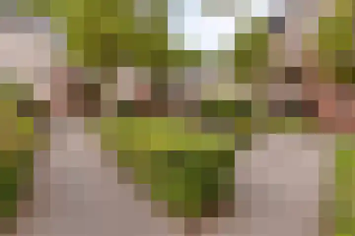 Zuidsingel 53 Middelburg thumbnail 39