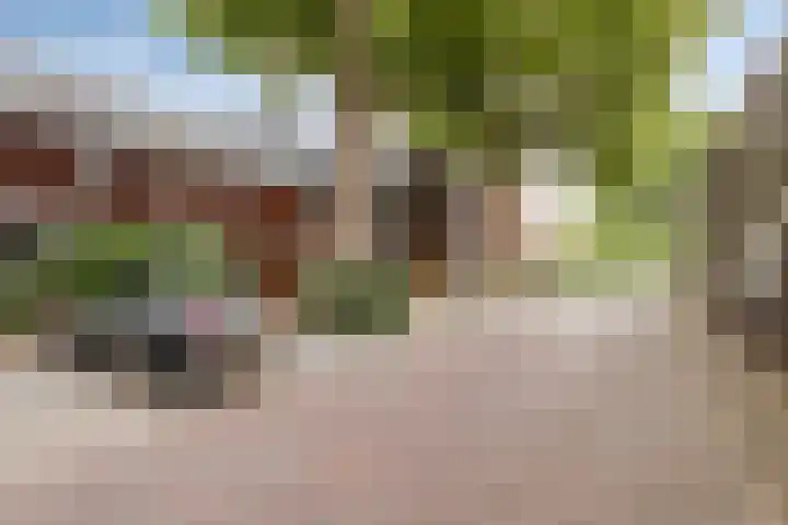 Zuidsingel 53 Middelburg thumbnail 4
