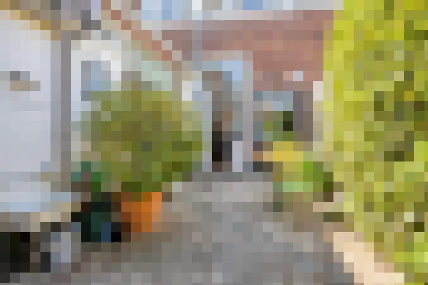 Zuidsingel 54 Bergen op Zoom thumbnail 39
