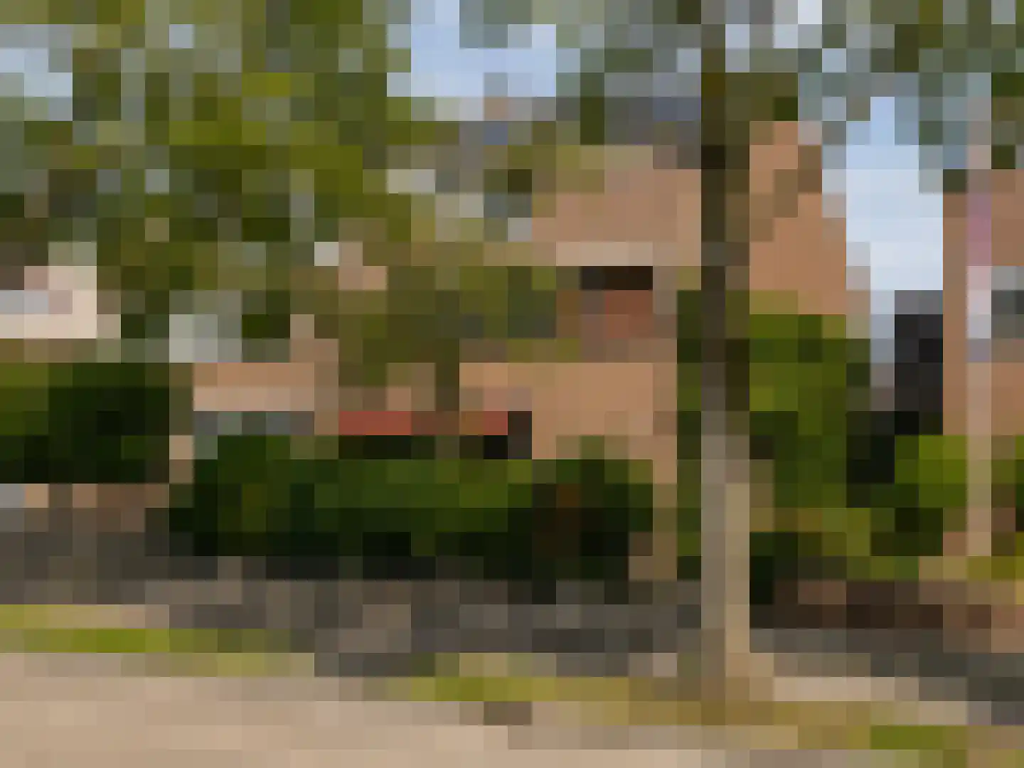 Zuidsingel 57 in Kortenhoef