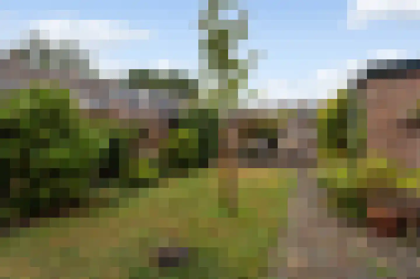 Zuidsingel 57 Kortenhoef thumbnail 14