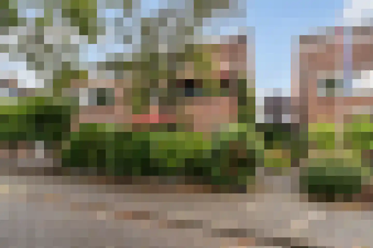 Zuidsingel 57 Kortenhoef thumbnail 29