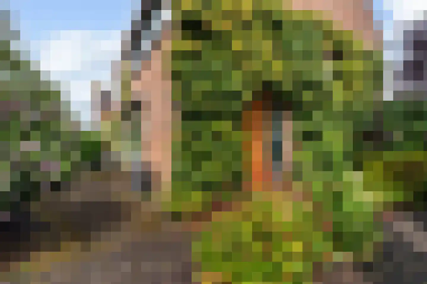 Zuidsingel 57 Kortenhoef thumbnail 30