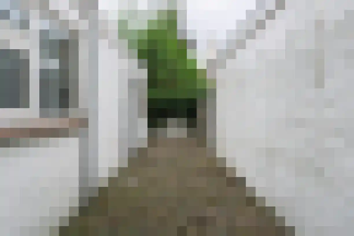 Zuidsingel 6 Bergen op Zoom thumbnail 16