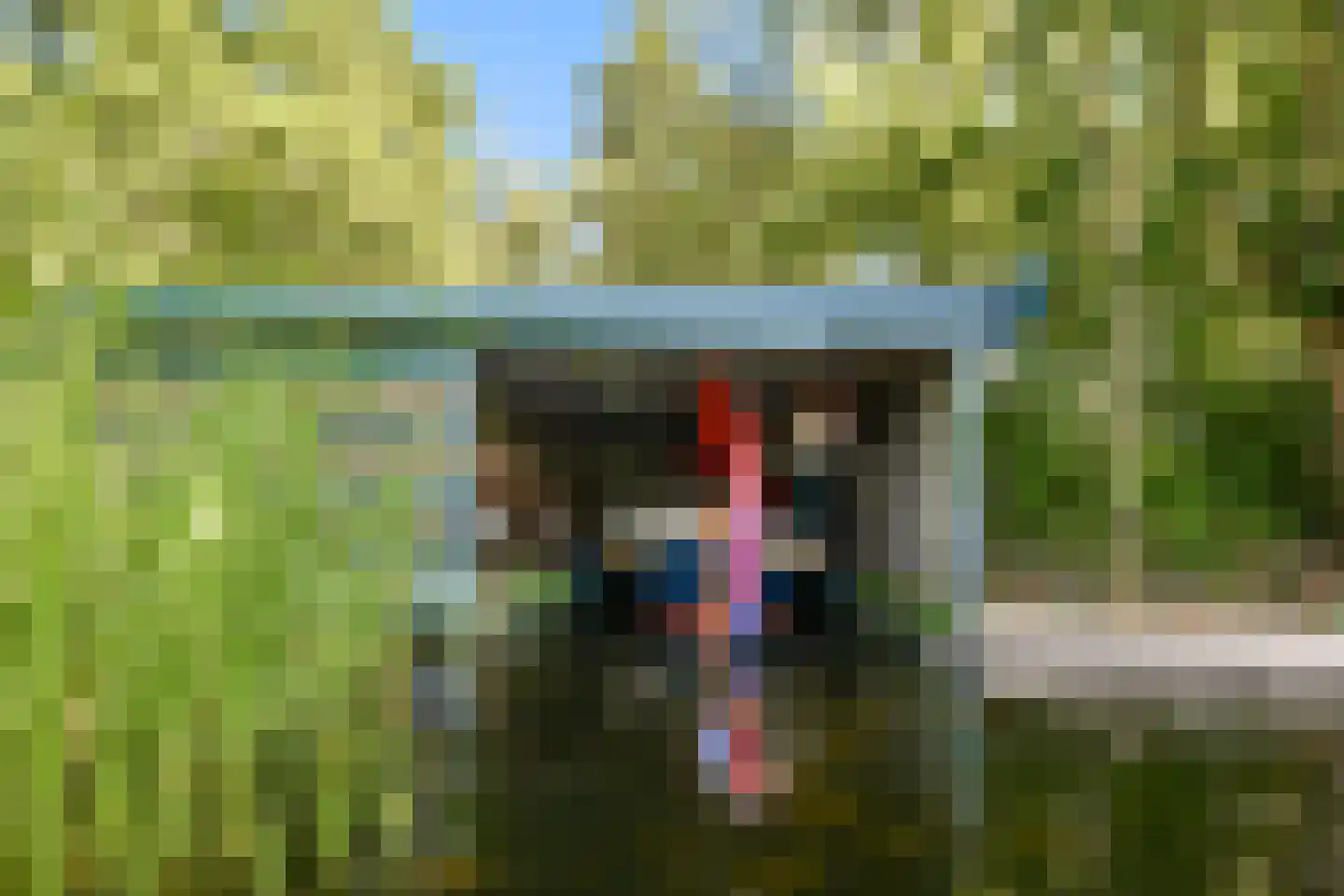 Zuidsingel 60 Kortenhoef thumbnail 25