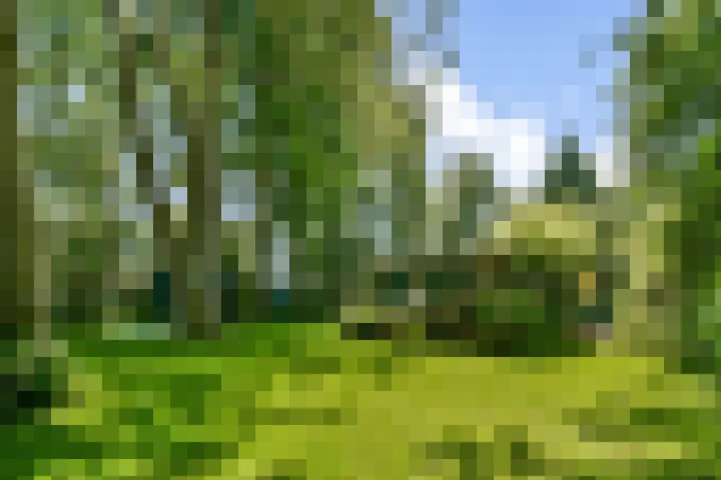 Zuidsingel 60 Kortenhoef thumbnail 6