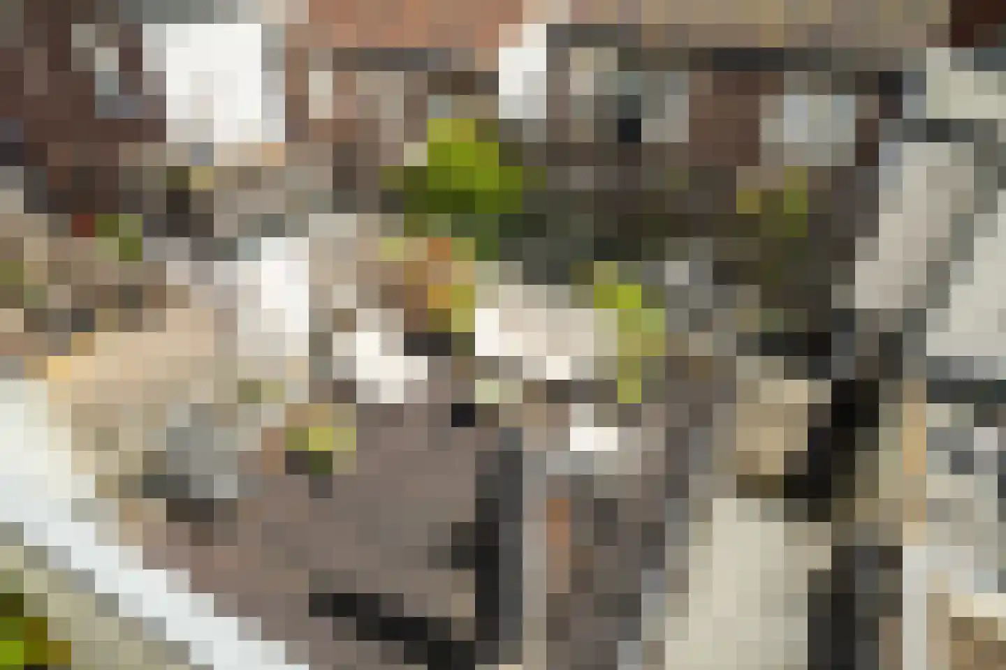 Zuidsingel 69 B Amersfoort thumbnail 39