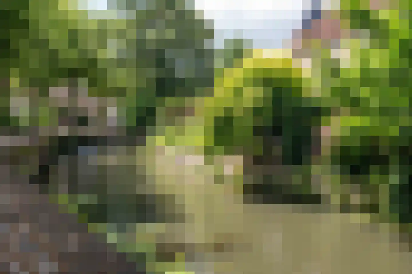 Zuidsingel 69 B Amersfoort thumbnail 7