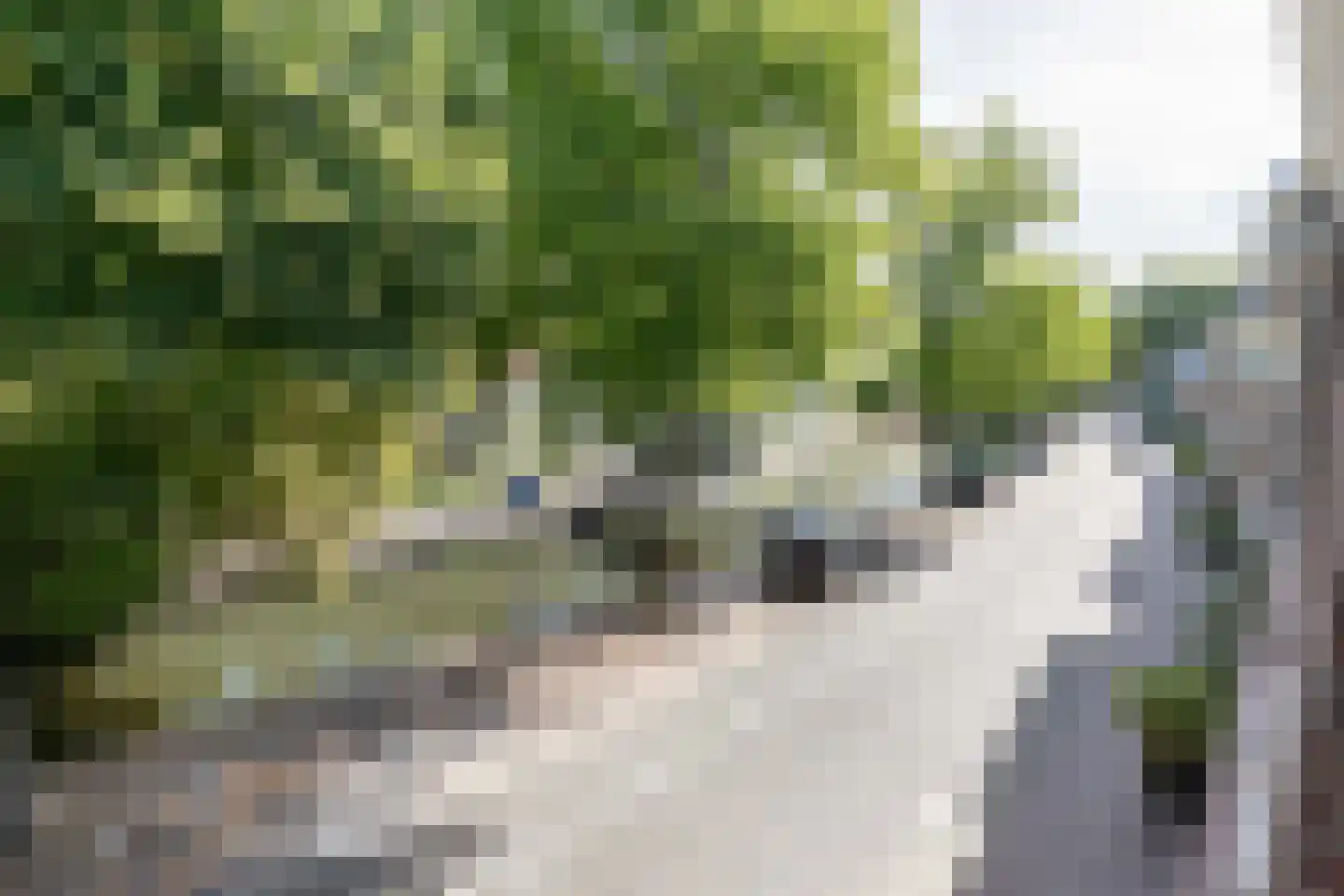 Zuidsingel 7 A Amersfoort thumbnail 11
